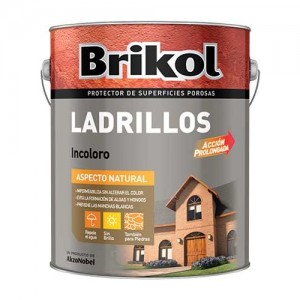 BRIKOL LADRILLOS INCOLORO 1